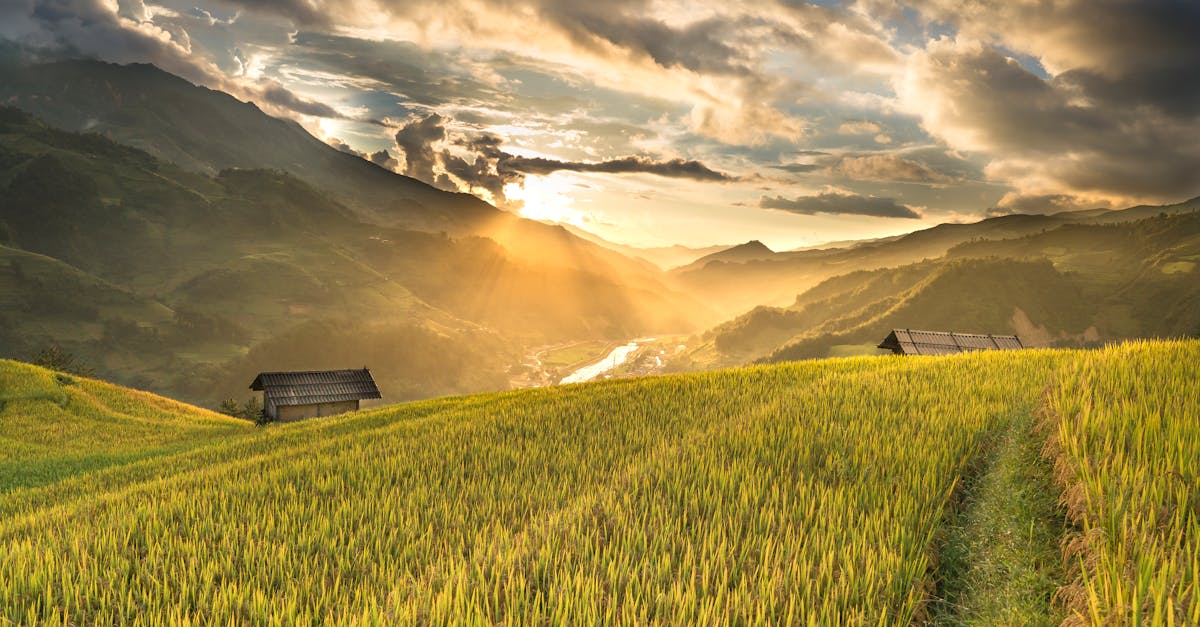 Capture of a serene mountain valley at sunrise with lush rice paddies and rustic huts.