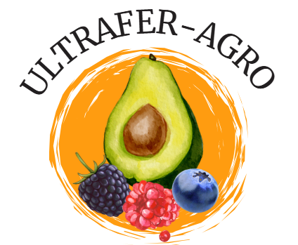 ultraferagrooficial.com